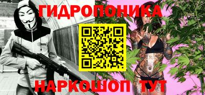 крисы Заводоуковск
