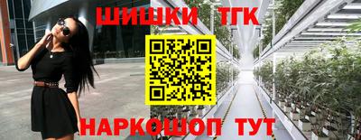 крисы Заводоуковск
