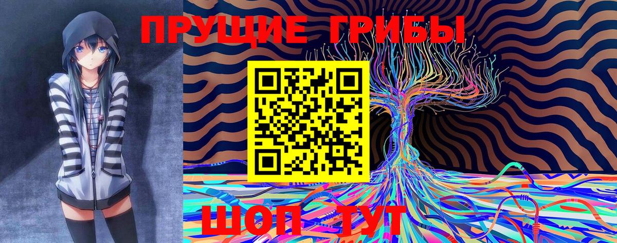 Галлюциногенные грибы прущие грибы Нижнеудинск