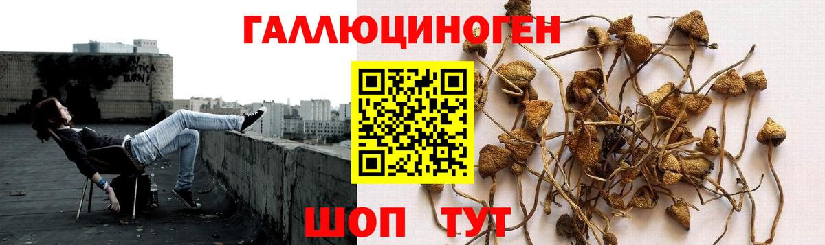 Нижнеудинск  Галлюциногенные грибы ЛСД  где можно купить наркотик  Вход с VPN 